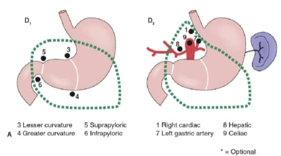 Fig. 3a