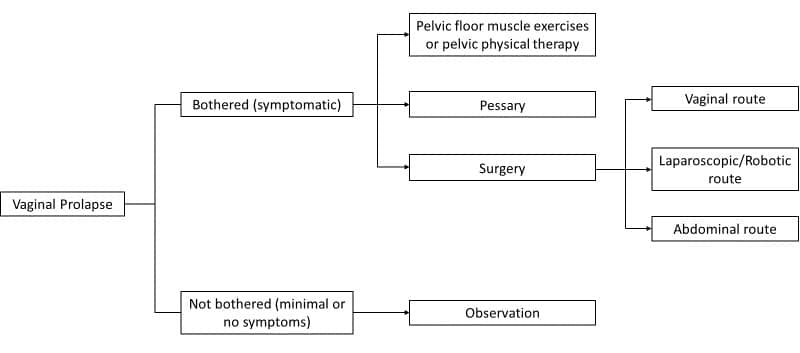 Prolapse Decision Tree.